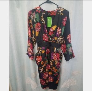 Beautiful Kimono Style Dress